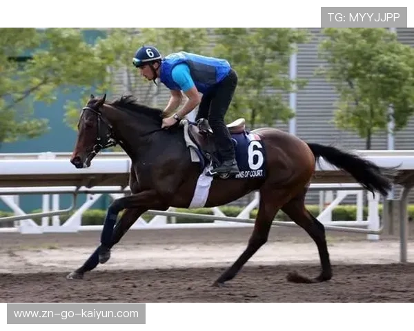 国际马术联合会试点动物福利监测,心率传感器追踪马匹 国际马术联合会试点动物福利监测,心率传感器追踪马匹