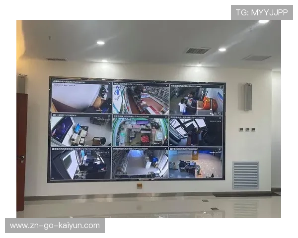 智能监控系统逐步覆盖全场景 强化安全保障能力 智能监控系统逐步覆盖全场景 强化安全保障能力